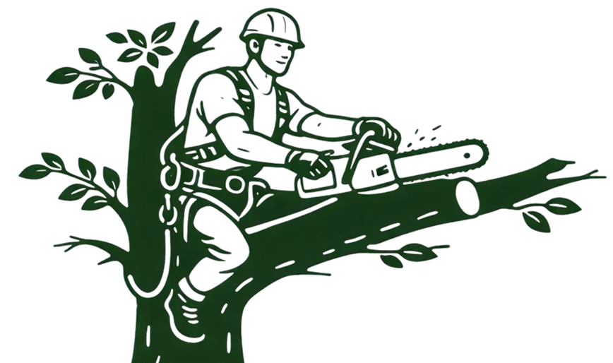 Спил деревьев